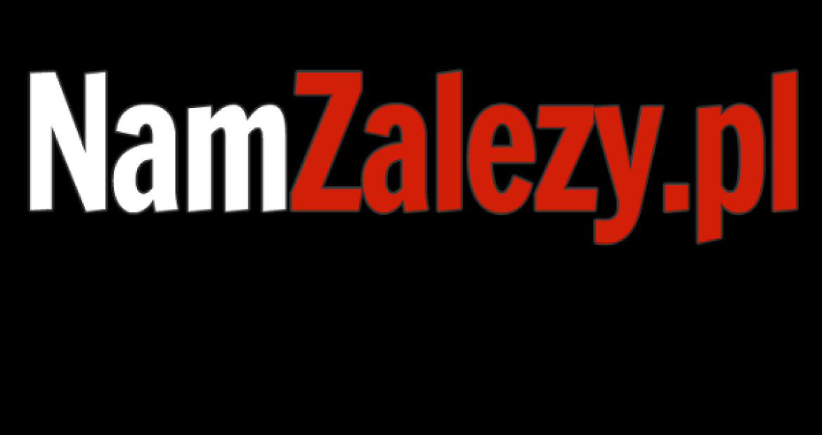 namzalezy-logo.png